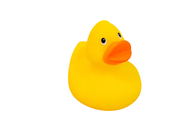 Toy Duck Small