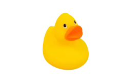 Toy Duck Small