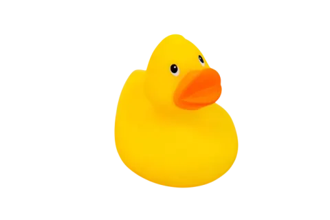 Toy Duck Small