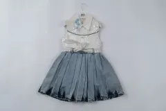 2Pc Denim Dress