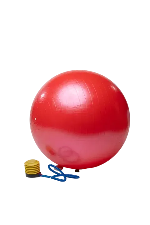 Gymnastic Ball