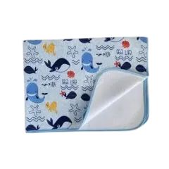 Mackintosh Washable