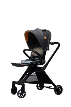 Welldon Stroller Gb14748-2006