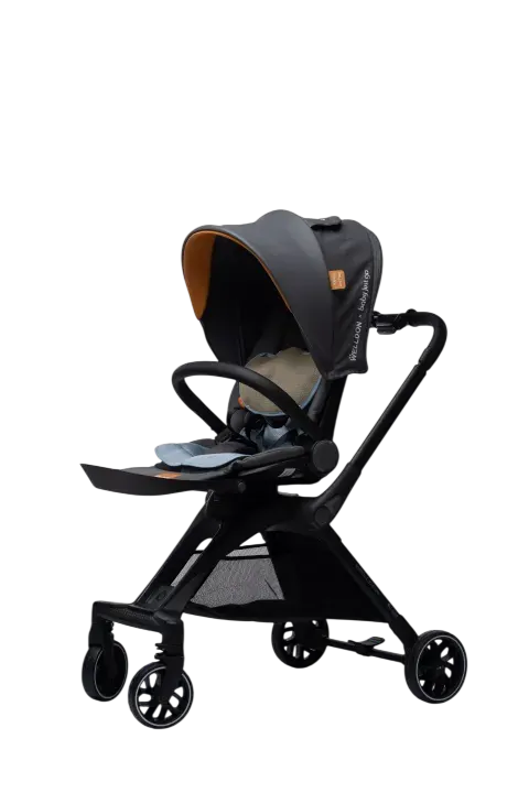 Welldon Stroller Gb14748-2006