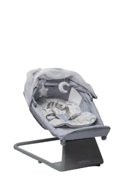 Coolbaby Cb002 Electric Swing