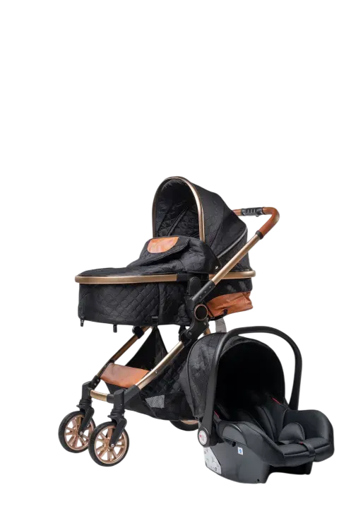 Stroller 3 In 1 Hgv9